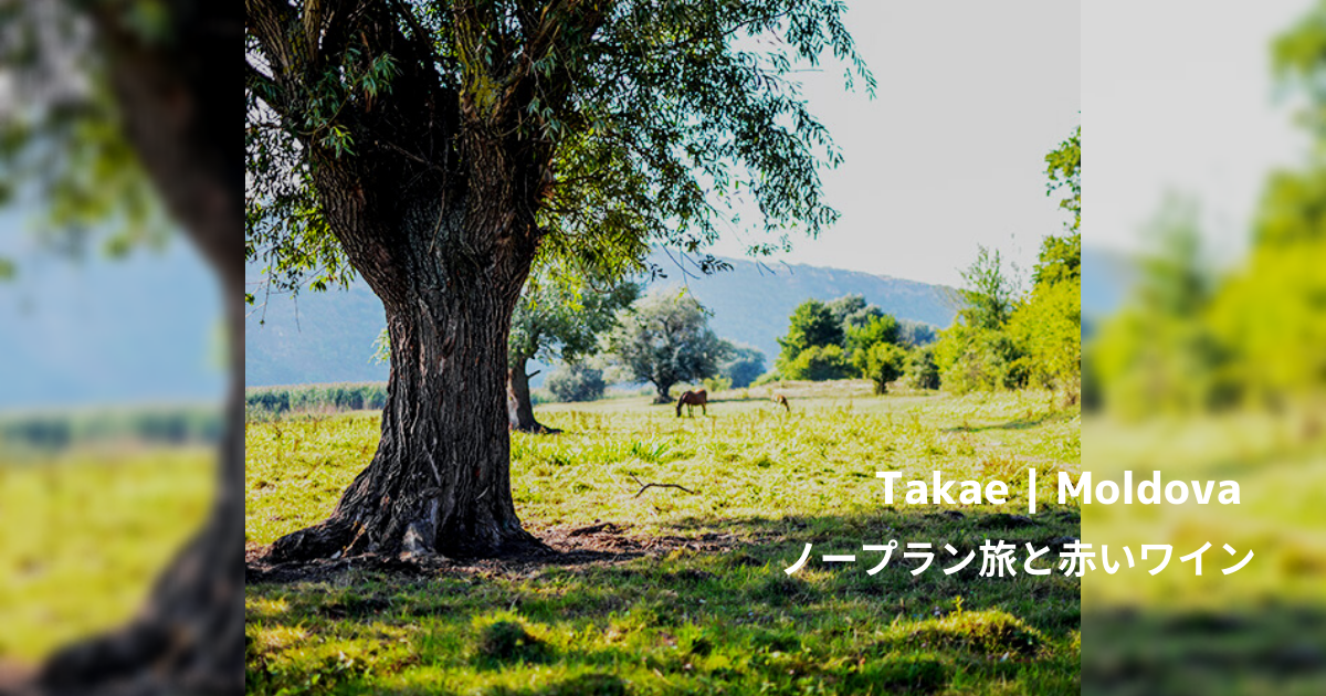【旅ブログ】モルドバ|Takae