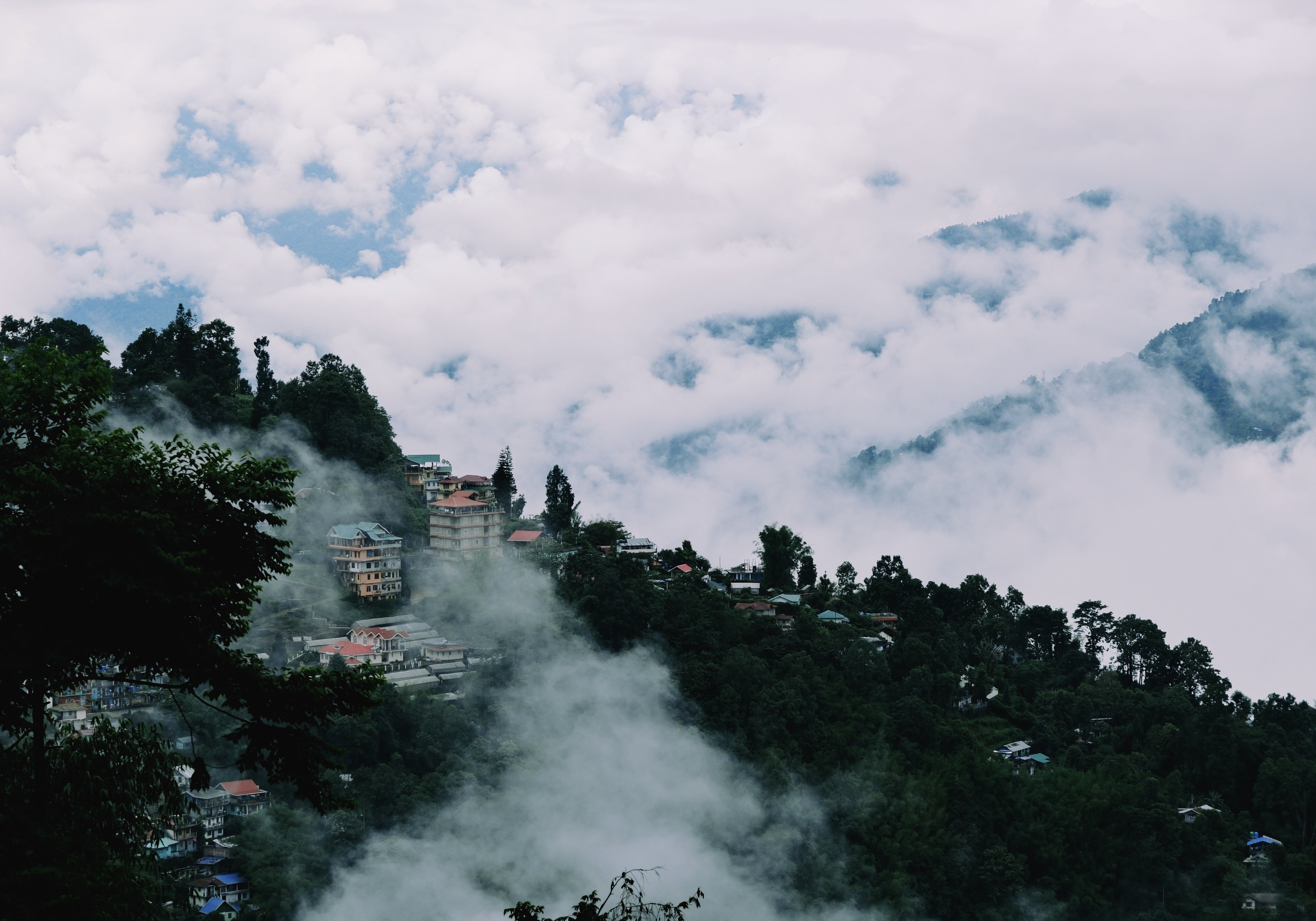 インド・カリンポン：偶然の重なりが教えてくれた「旅」の真髄