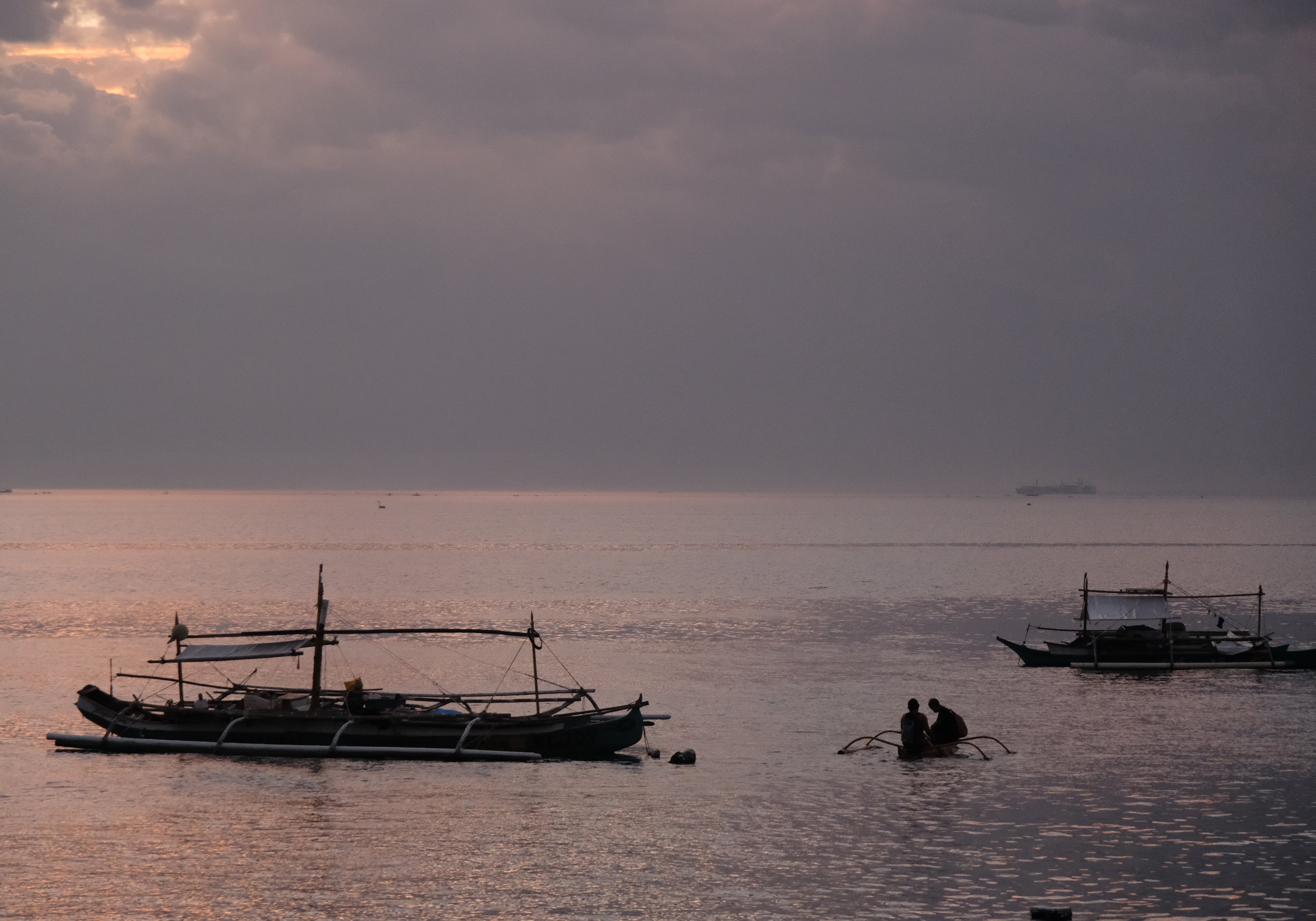 フィリピン・サマル島（後編）：野生の鼓動と、海亀が教えてくれた共生の形