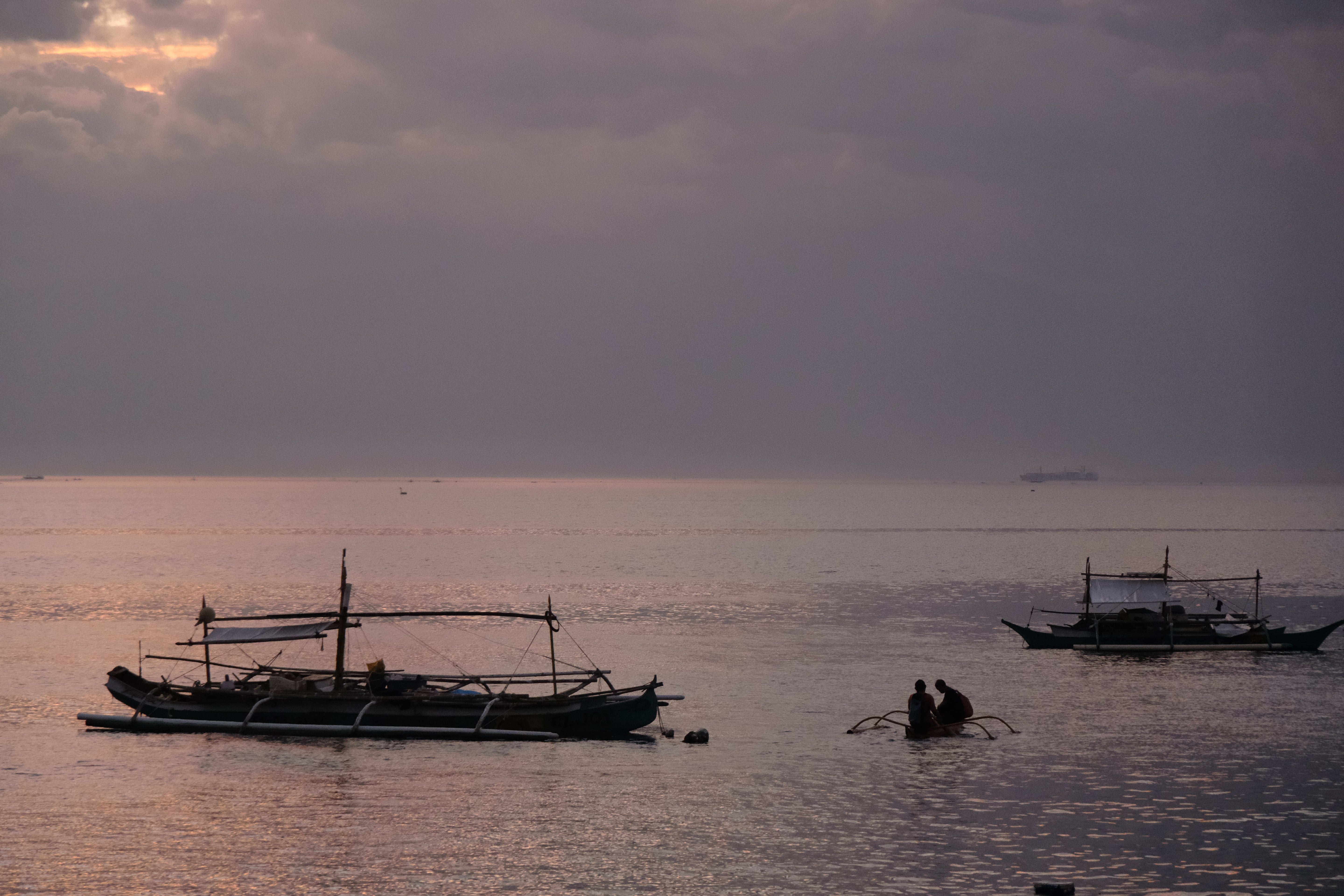 フィリピン・サマル島（後編）：野生の鼓動と、海亀が教えてくれた共生の形